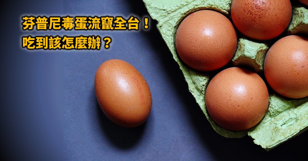 農藥芬普尼汙染46萬顆雞蛋！吃到毒蛋該怎麼辦？