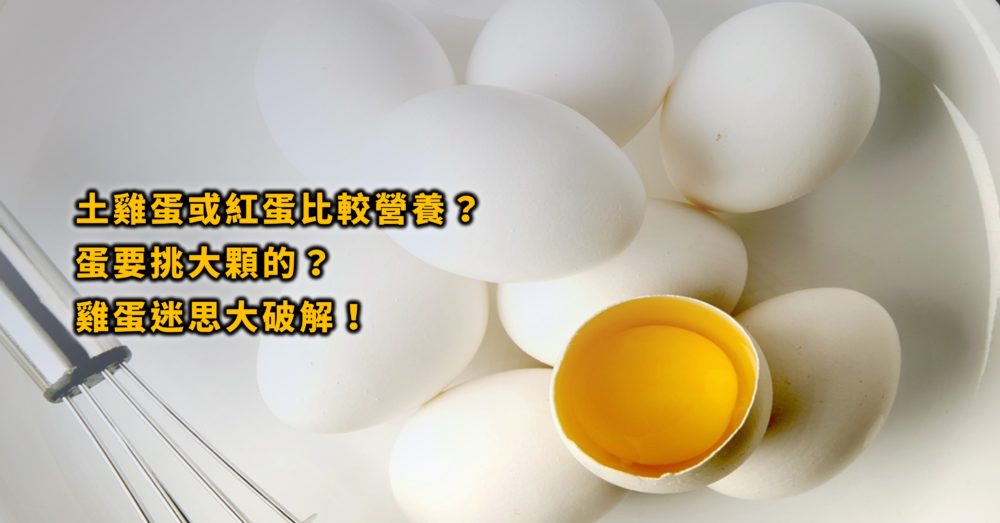 蛋黃膽固醇高？土雞蛋或紅蛋比較營養？蛋要挑大顆的？雞蛋迷思大破解！
